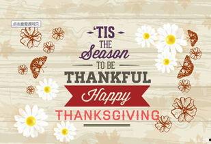 感恩节最新爆料新闻内容,揭秘背后的感人故事与温馨瞬间